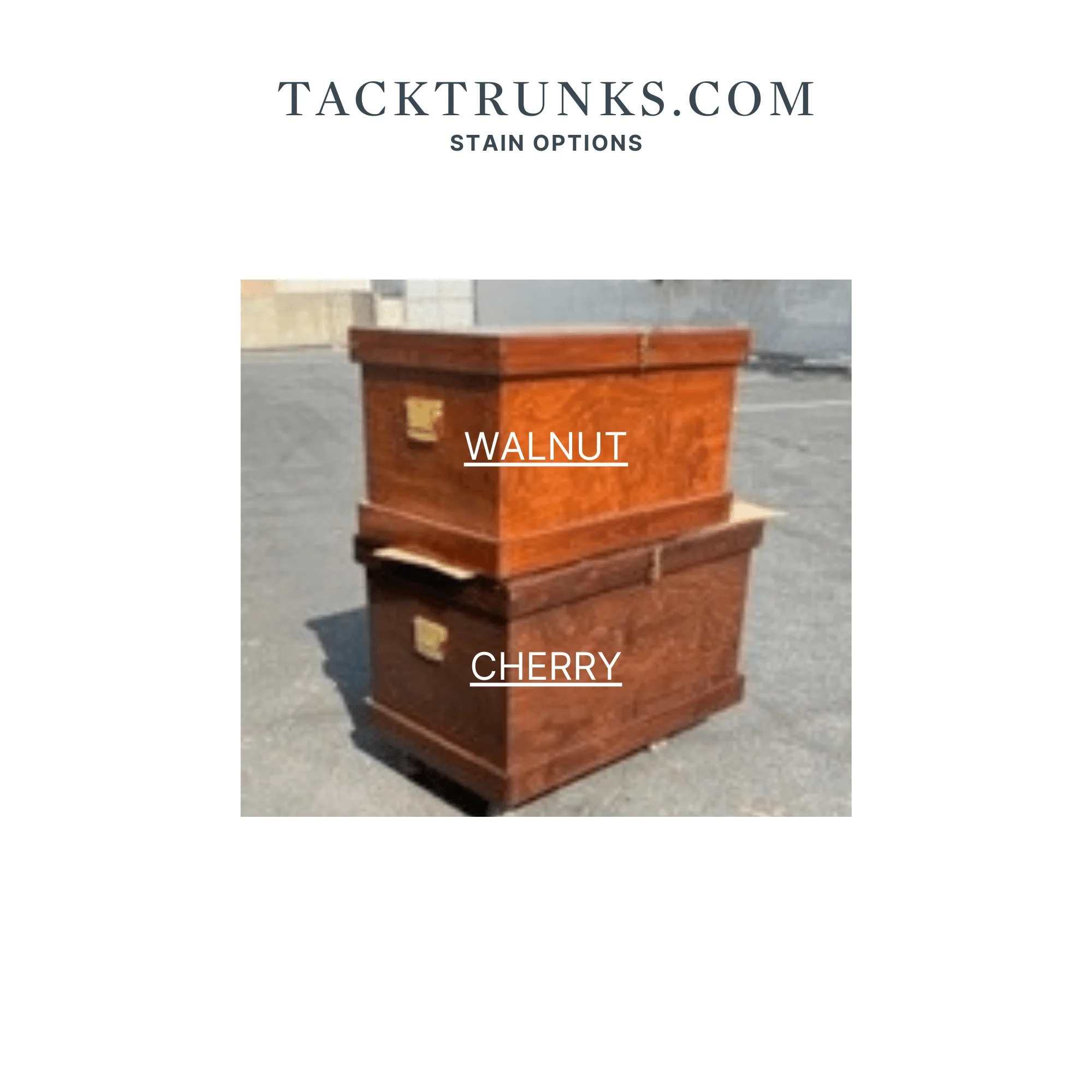Heritage Tack Trunk | Wood Tack Trunk - Image 3